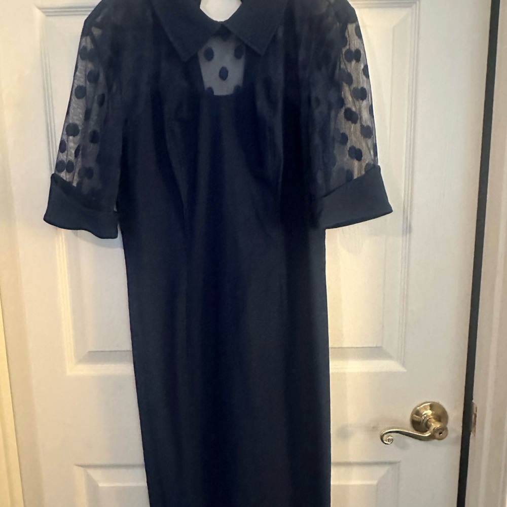 Zara Navy Dress with Sheer Polka Dot Sleeves